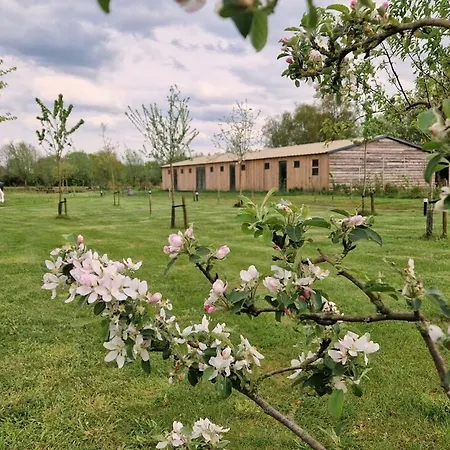 De Wilde Tuin - Lotus Apartmán